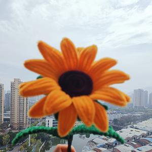 星星向日的娱乐派ai~ 头像