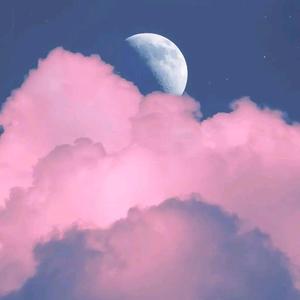 趣事图书馆 头像