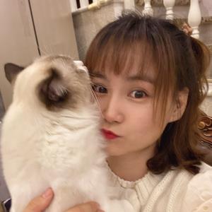 猫宁爱蓟州 头像