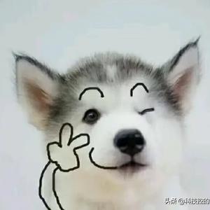 midahou 头像