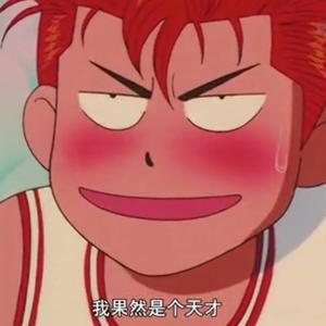 怀揣梦想的冒险家 头像
