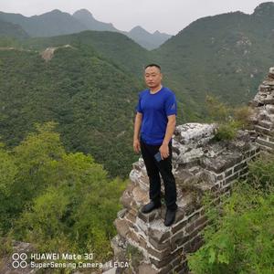 达意电子的御用临时工 头像