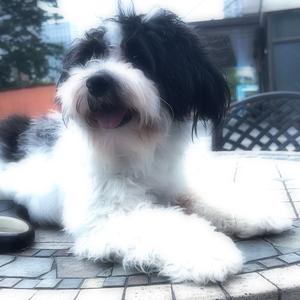 老男人阿朗 头像