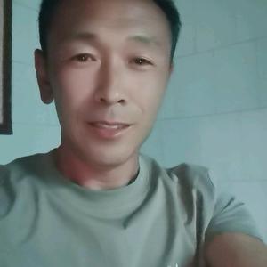 林哥趣谈 头像