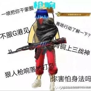 保安大队分队雨风 头像
