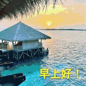杨文杰 头像