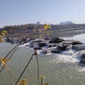 郑州的职场笨妈妈 头像