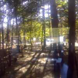 婚恋治疗师NEMO 头像