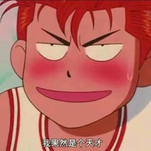 森林中轻拂的枝叶 头像