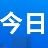 豫见今日 头像
