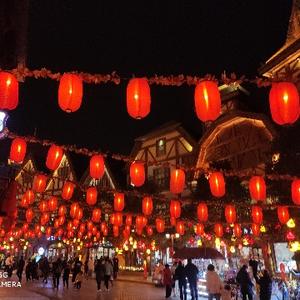 勇猛的兔子PRO 头像