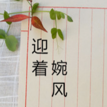 迎着婉风 头像