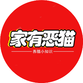 恶猫变好猫 头像