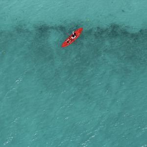 蜡笔小顾头条 头像