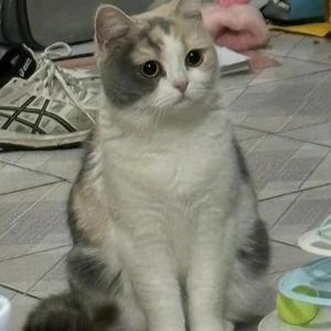 栀子说动漫 头像