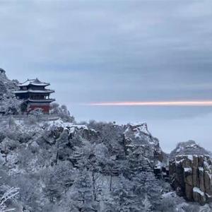 独上寒山有远志 头像