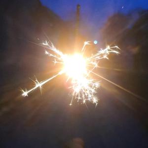 小丁的流浪狗小院 头像