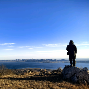 月下有萧何 头像