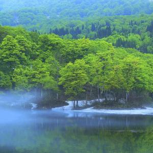 新疆龙盛禾生物科技有限公司 头像