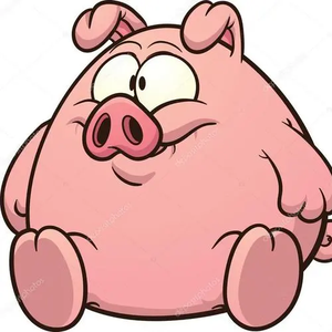 加油猪小哥 头像