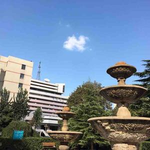 光明博士老张 头像