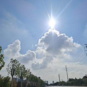 阳珊说娱乐 头像