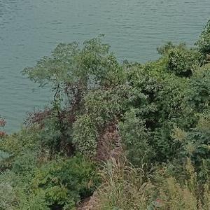 果果好吃糖 头像