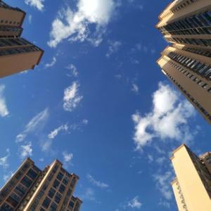 晓笼包1825 头像