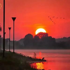 博学星光辉 头像