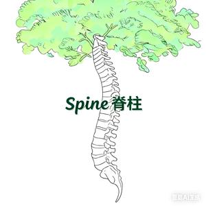 Spine脊柱Li 头像