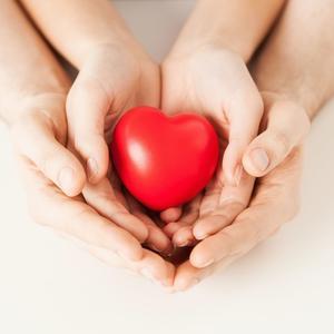 专注大连双迪 头像