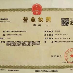 王万东法律服务