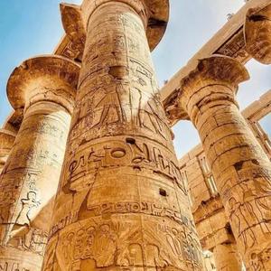 若般皆是缘 头像