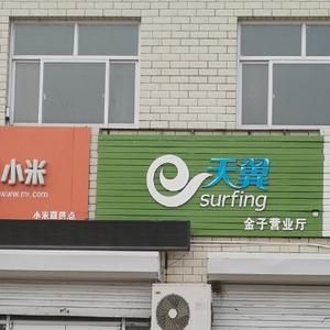 金子电信及电脑 头像