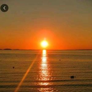 海霞 头像