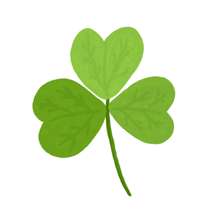 365家庭健康小助手 头像