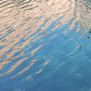 V文化新乡 头像