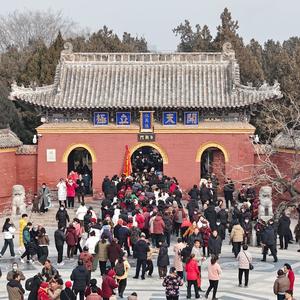 狐妖漫读纪 头像