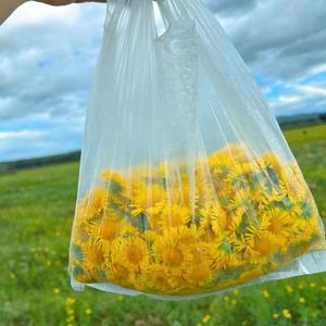 小金不熬夜 头像