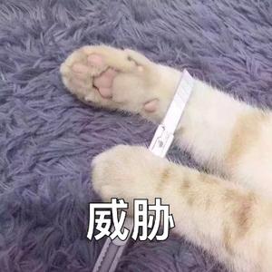 梅子瞎了 头像