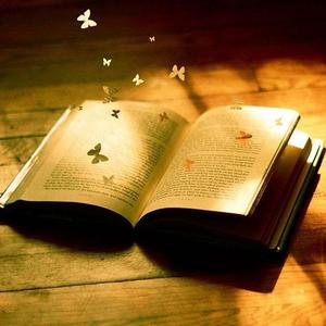 硬核知识大全 头像