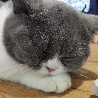 治愈自己的你 头像