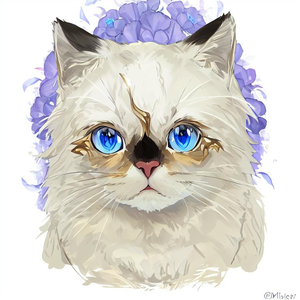 cat哥一家之言 头像