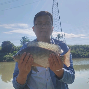 晨光钓鱼 头像
