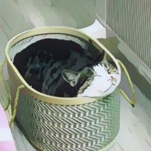 我来试试火丶 头像