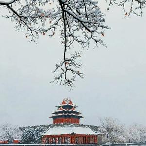 独一无二爱读书的我 头像