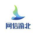 网信渝北 头像