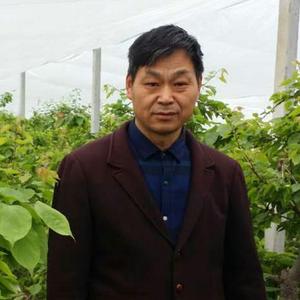 睢阳农科 头像