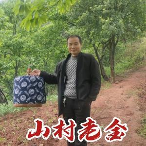 山村老金头像