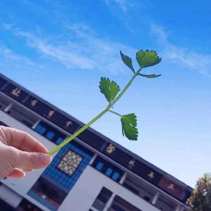 林老师教数学 头像